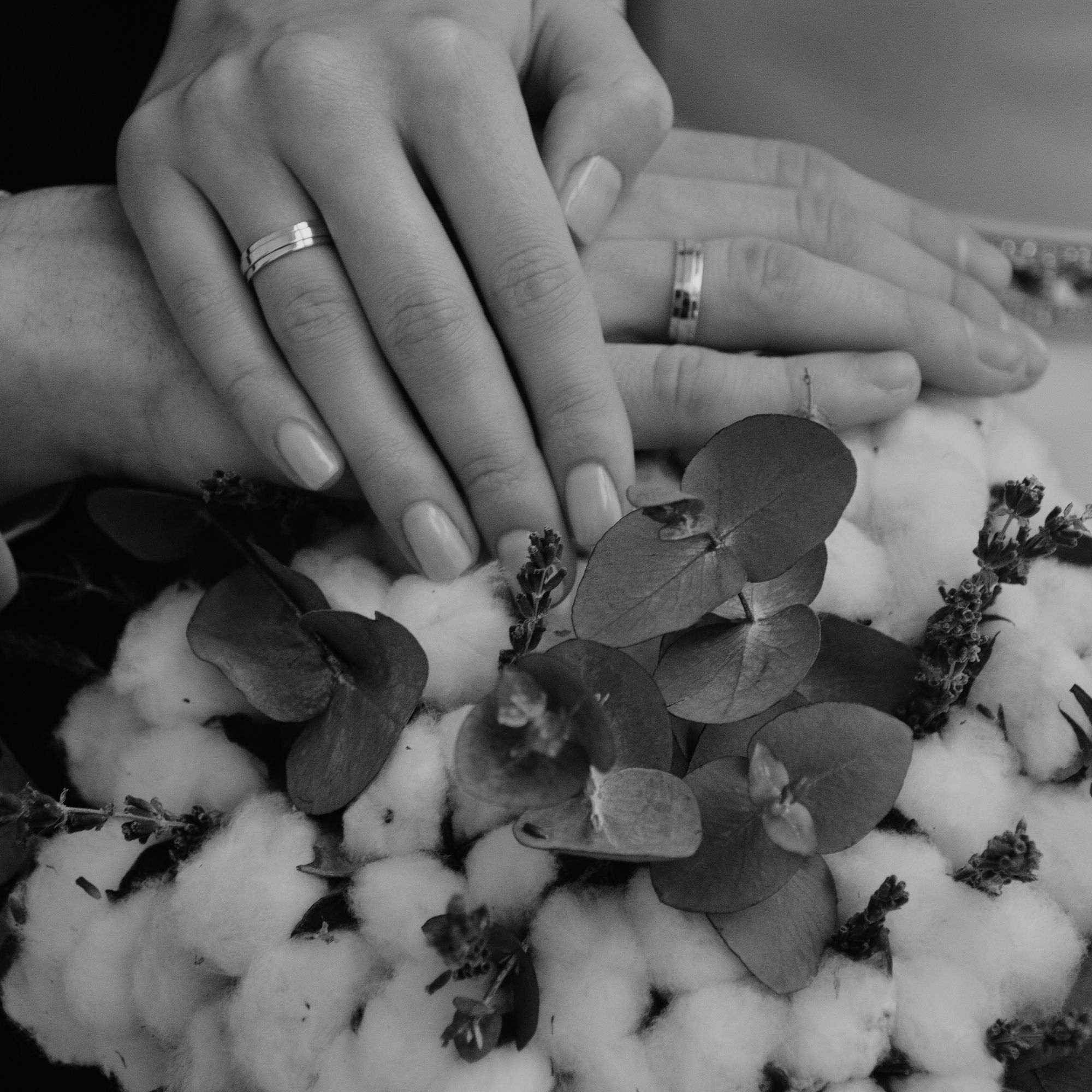 Flor en blanco y negro